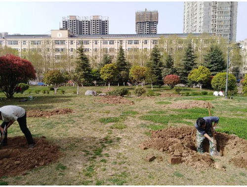 博鱼boyu：榆林市城市绿化管理局电话